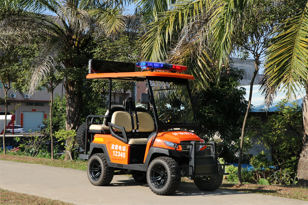 護(hù)林防火巡查車，電動巡邏車